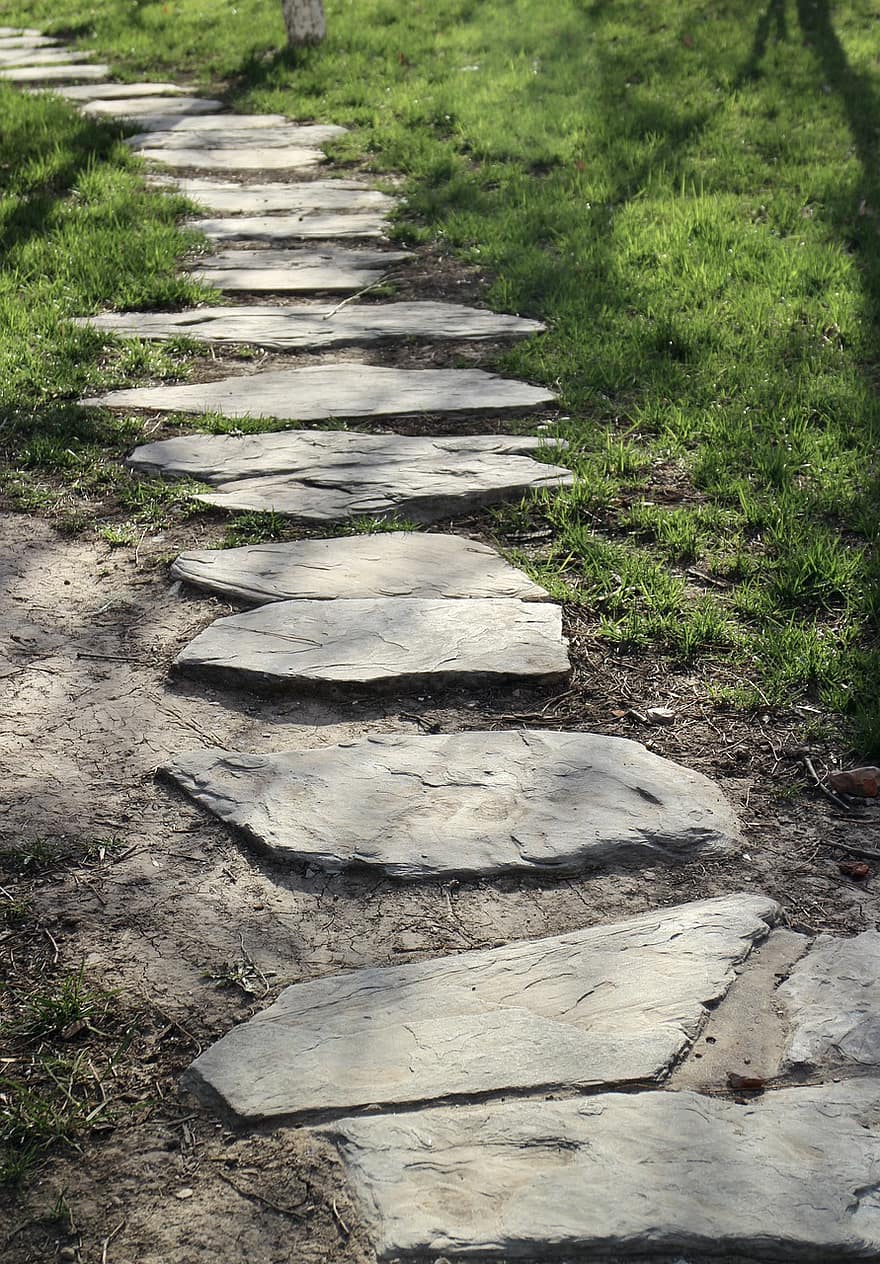 ścieżka, kroki, kamień, Natura, trawa, szlak, chodnik, lato, las, zielony kolor, drewno
