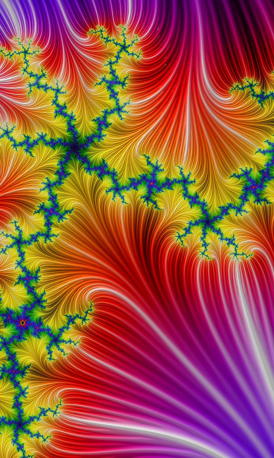fractal, geometrija, kreivė, spalvinga, diapazonas