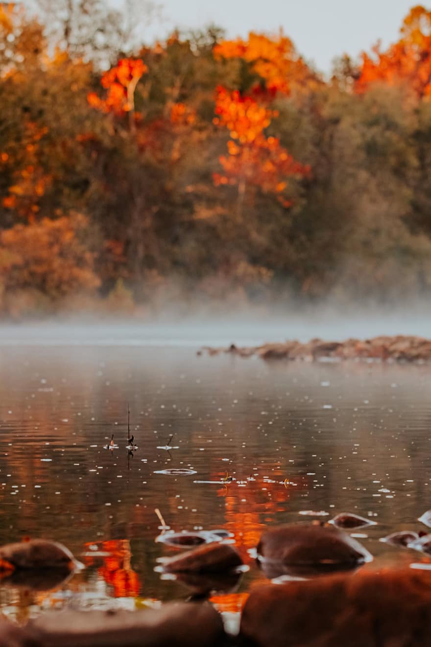 řeka, podzim, arkansas, Příroda