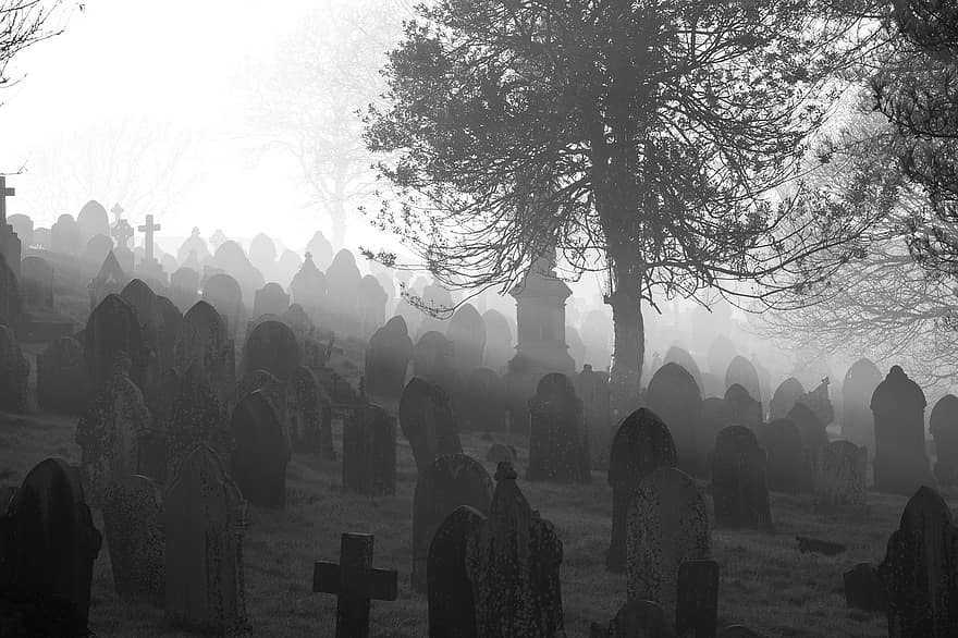 cimetière, pierres tombales, brouillard, des tombes, pierre tombale, des arbres, traverser, crucifix, funéraire, effrayant, la tombe