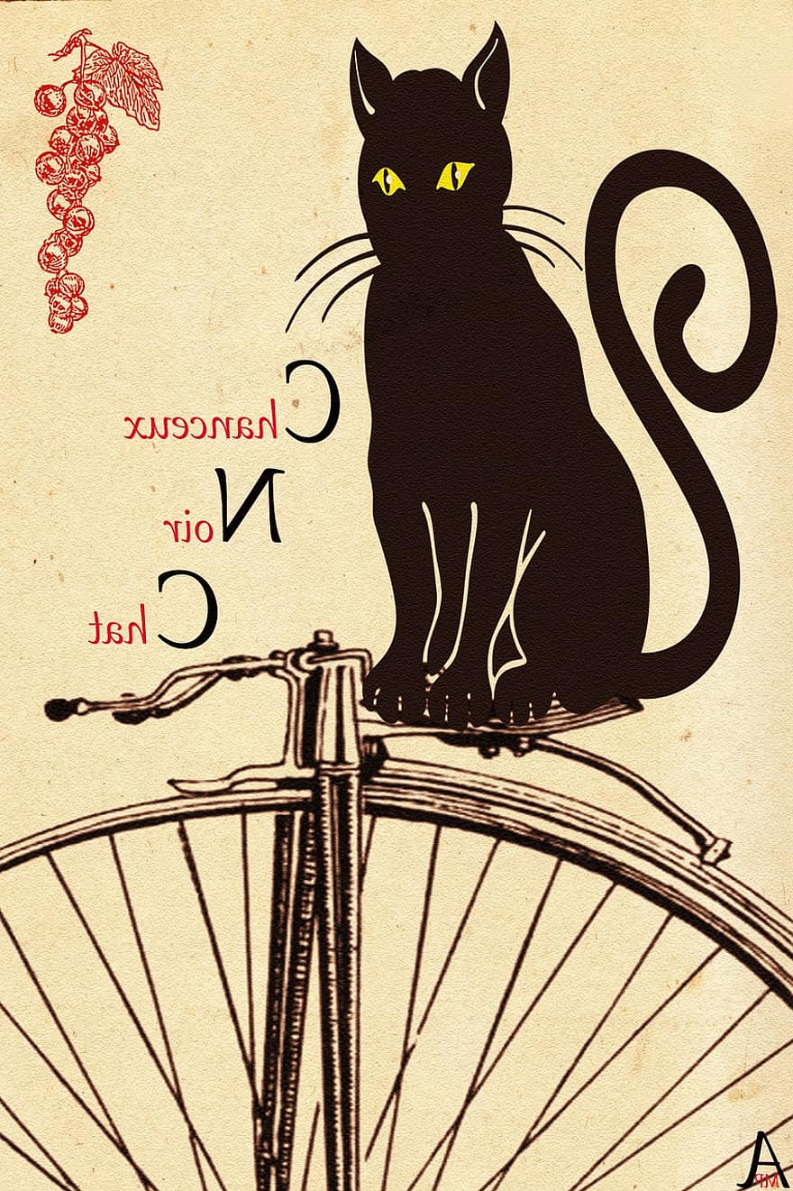 Черна котка, късметлия, котка, черно, карикатура, характер, чудат, животни, символ, котешки, домашен любимец