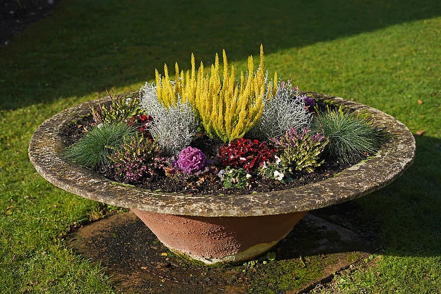 Flowerpot, Plants, Decoration, Garden, Flower, Botany, Park, grass, plant, summer, green color