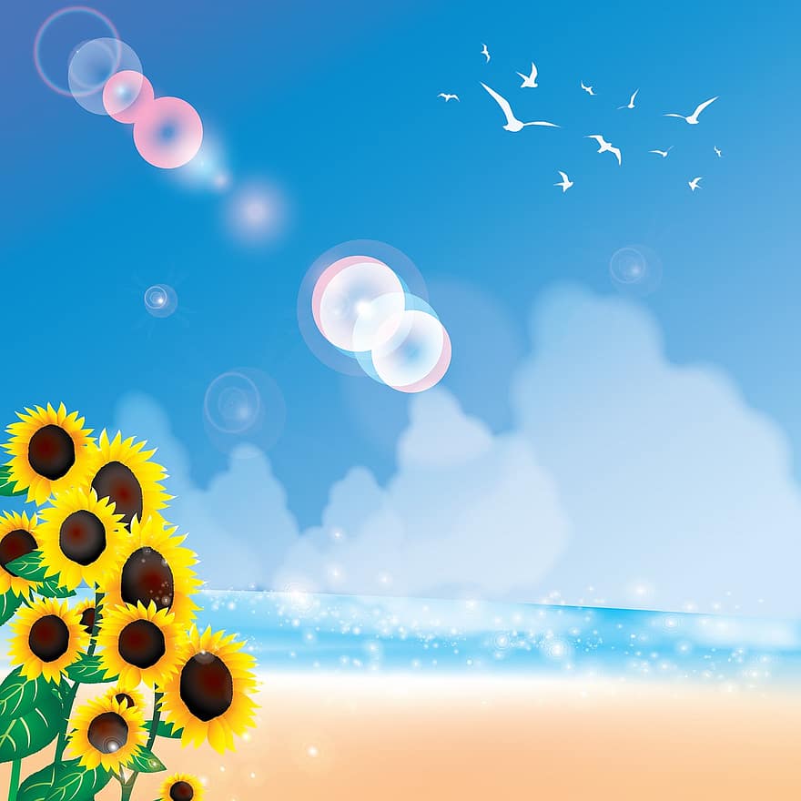 Ozean, digitales Papier, Himmel, Sonnenblumen, Wolken, Meer, Strand, Vögel, Sommer-, Urlaub, Hintergründe