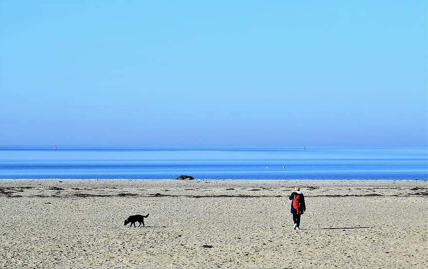 insan, köpek, plaj, kum, Kumlu plaj, sahip, Evcil Hayvan, kıyı, sahil, ufuk, Baltık Denizi
