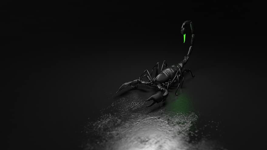 Scorpion, Computer Graphics, Graphic, Wallpaper, Background, Desktop, Dark, Black, Render