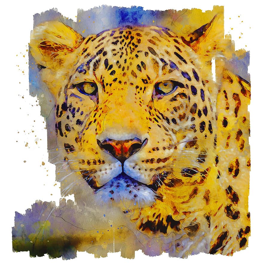 leopard, dyr, vild kat, feline, dyr i naturen, undomesticated cat, fik øje på, stor kat, safari dyr, Afrika, stor
