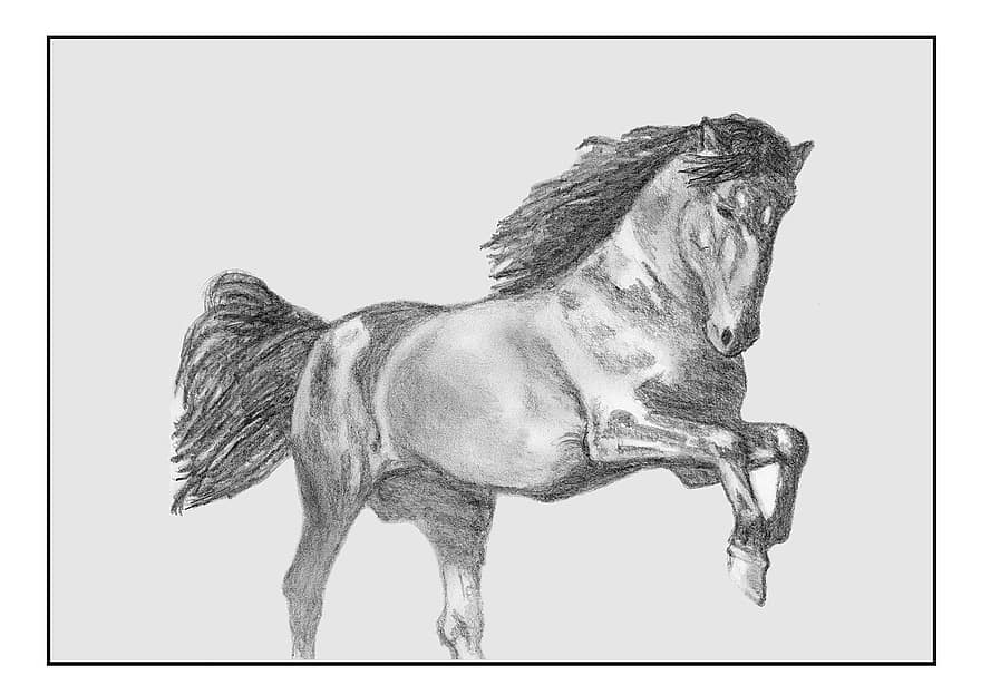 cavalo, lápis, desenhando