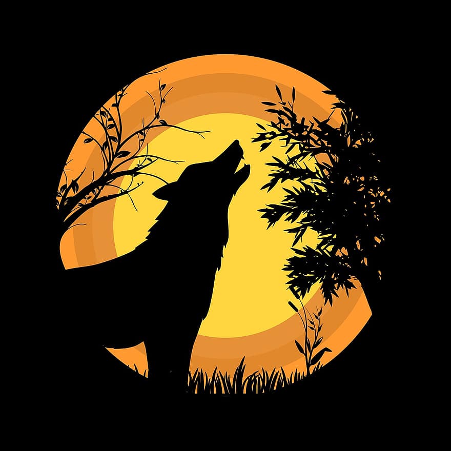 lobo, Luna, salvaje, hierba, animal, aves, templo, noche, crepúsculo
