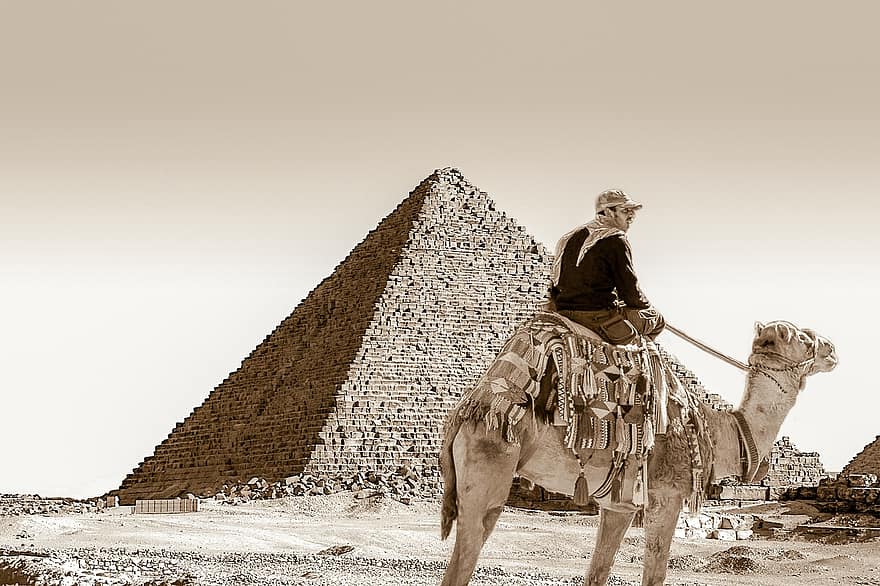 пирамида, Египет, фараонски, египетски, гробница, египтяни, пустинен, Кайро, пясък, камила, хора
