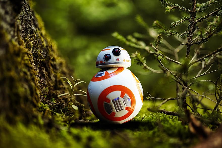 BB-8, Yıldız Savaşları, robot, orman, doğa, disney, BB8 robotu, Droidlerin, Evren, yeşil renk, çimen