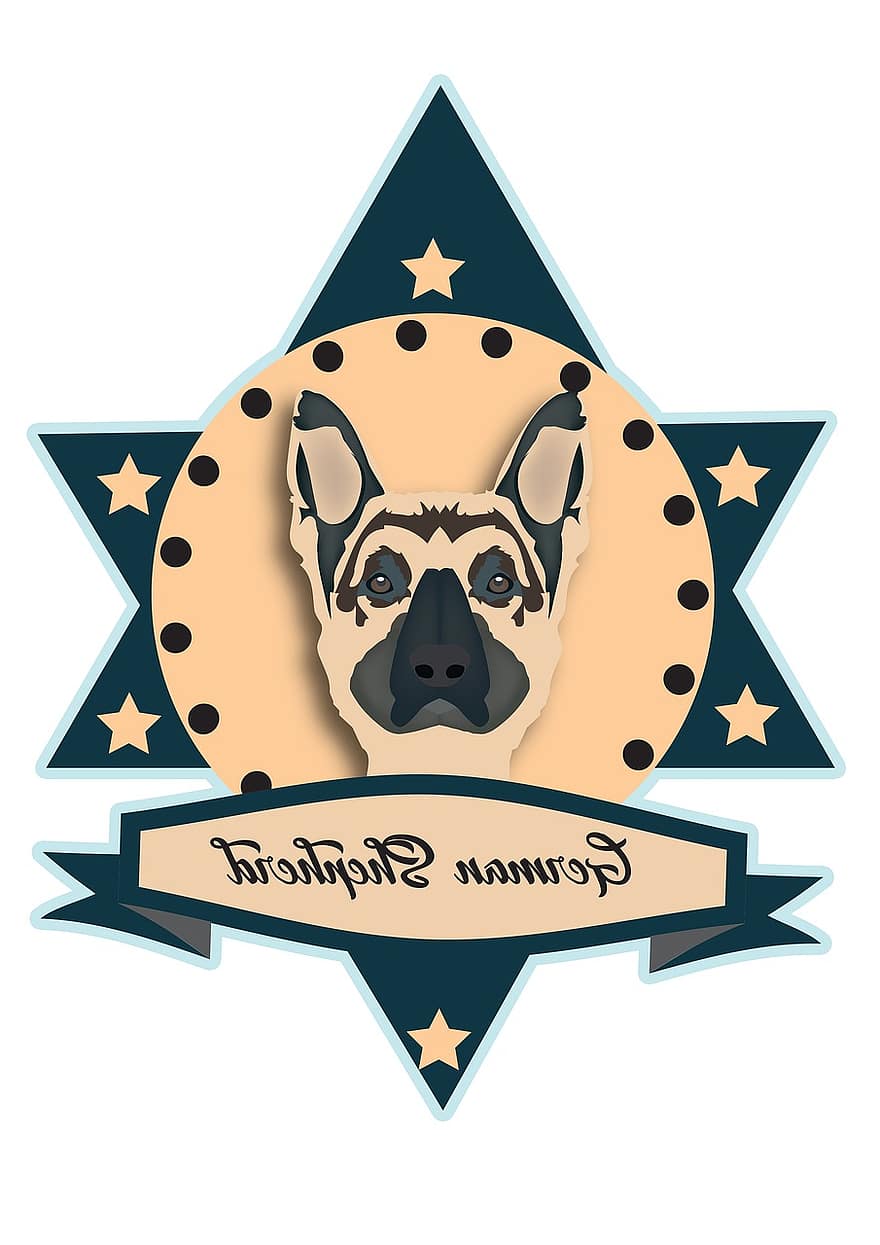 Pastor alemany, gos, mascota, animal