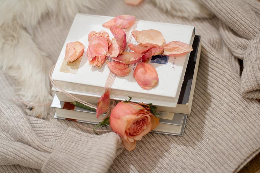 boeken, roos, opleiding, liefde, Valentijnsdag, hart-