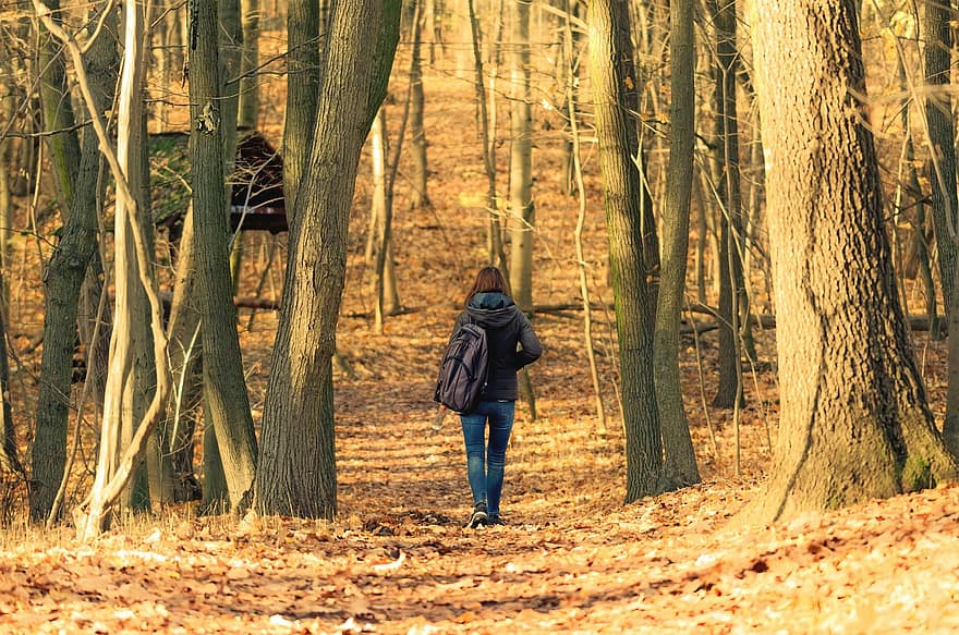 nő, kaland, természet, hátizsák, gyalogló, ősz, erdő