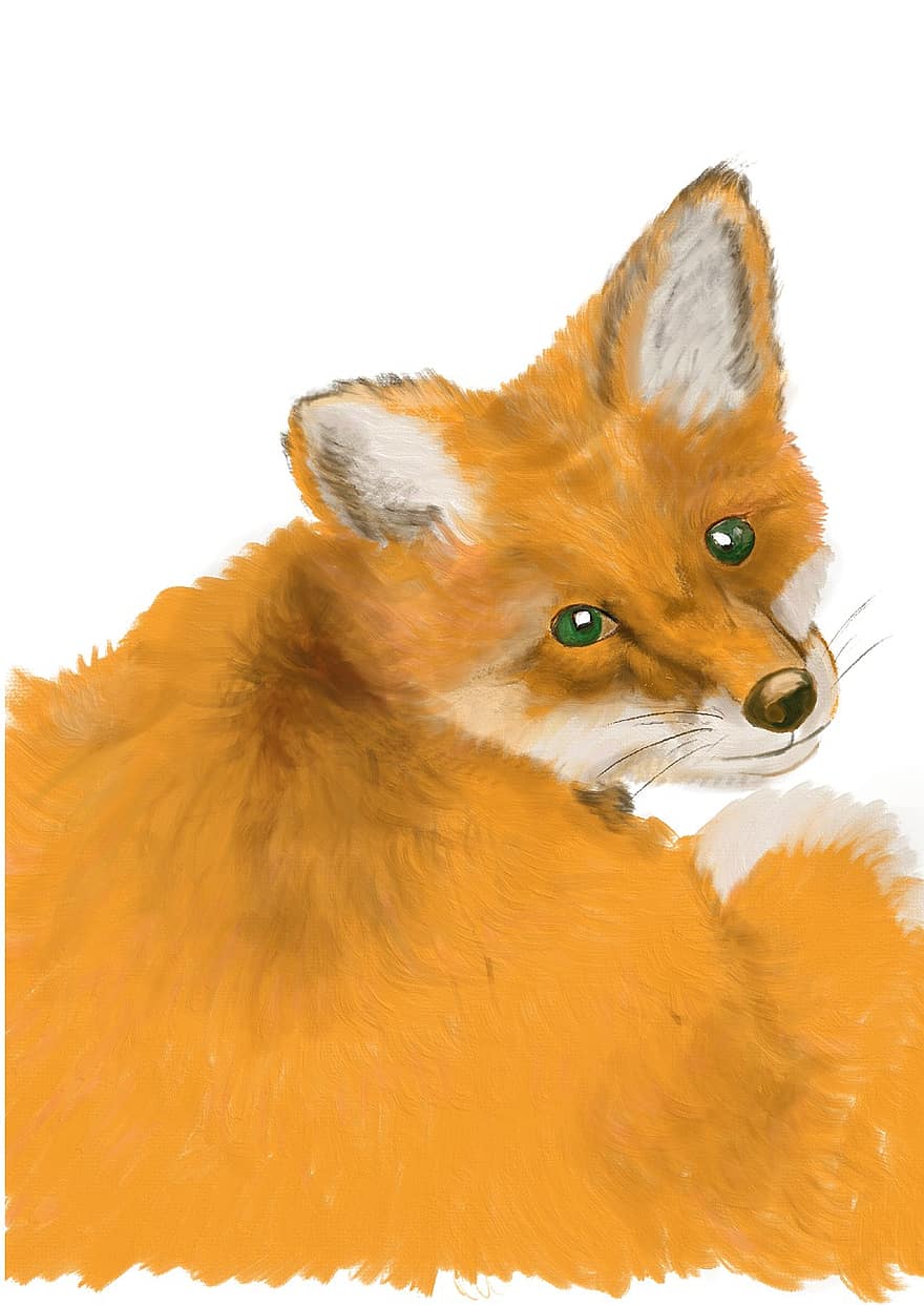 Fuchs, лиса, лес, дикий, животное, хищник, пушистый, существо, мех, природа