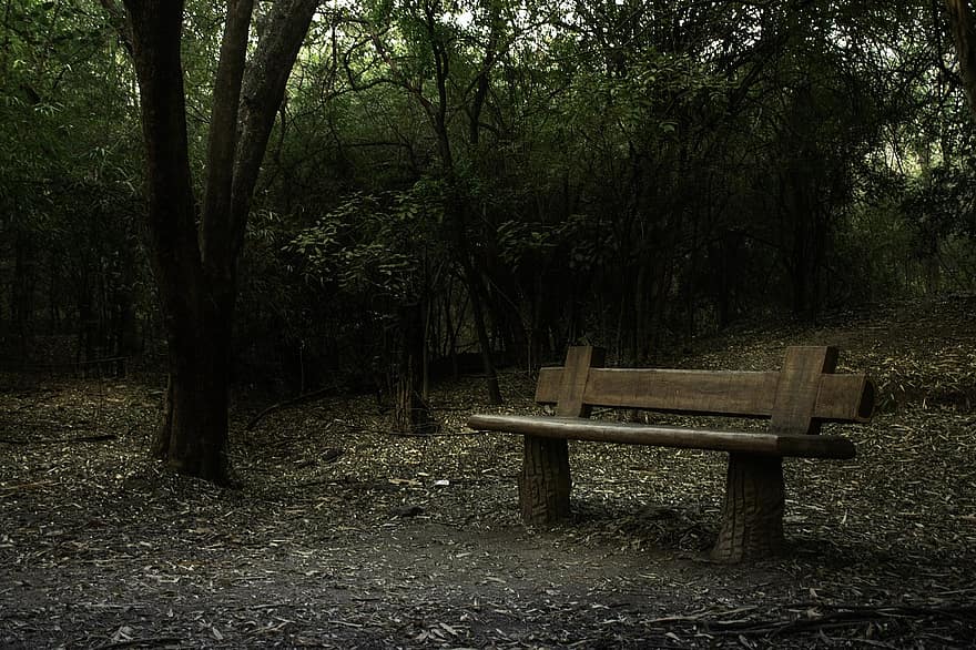 пейка, природа, гора, дърво, есен, листо, сезон, спокойна сцена, пейзаж, селска сцена, седалка