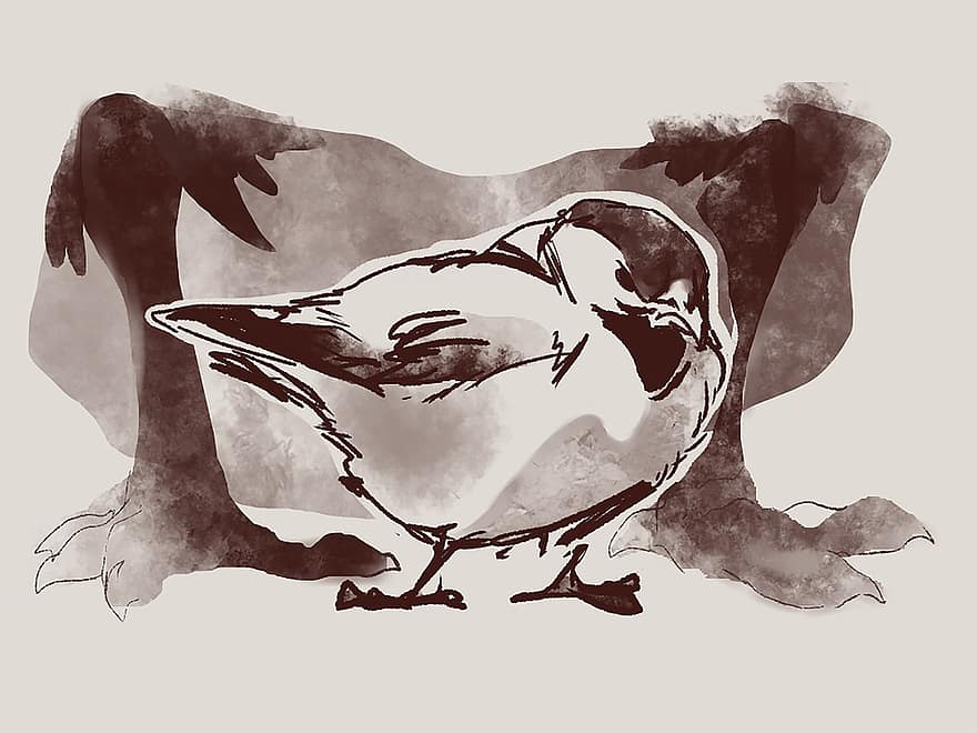 Sparrow, Bird, Animal, Drawing, Art, Artwork, illustration, isolated, sketch, vector, black and white