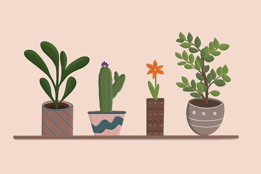 Plants, Plant Pots, Background, Flower, Bloom, Leaves, Potted Plants, Flowerpots, Decorative, plant, flower pot