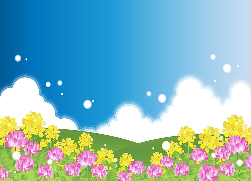 Wiesenhintergrund, Blumen, Wolken, Garten, Frühling, Sommer-, blühen, Ostern, Gras, Flora, Kräuter