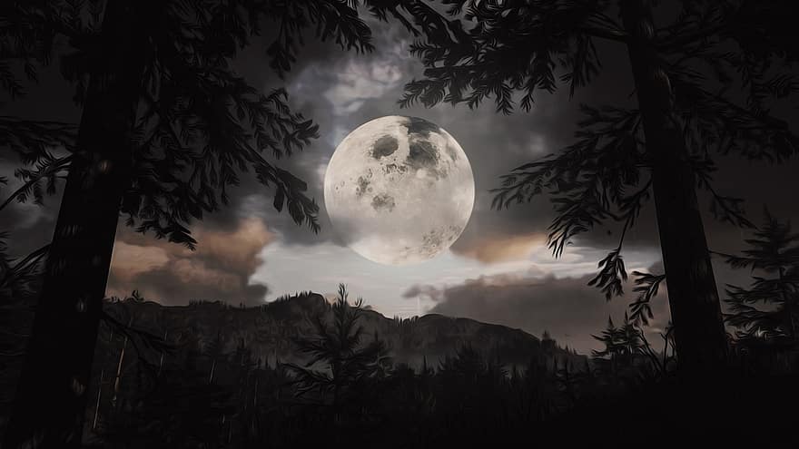 měsíc, Příroda, stromy, venku, družice, astronomie, les, divočina, noc, nebe, tapeta na zeď