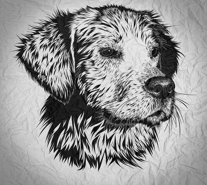 Art, Photoshop, Pet, Illustration, Dog, Animal, Drawing, Handling