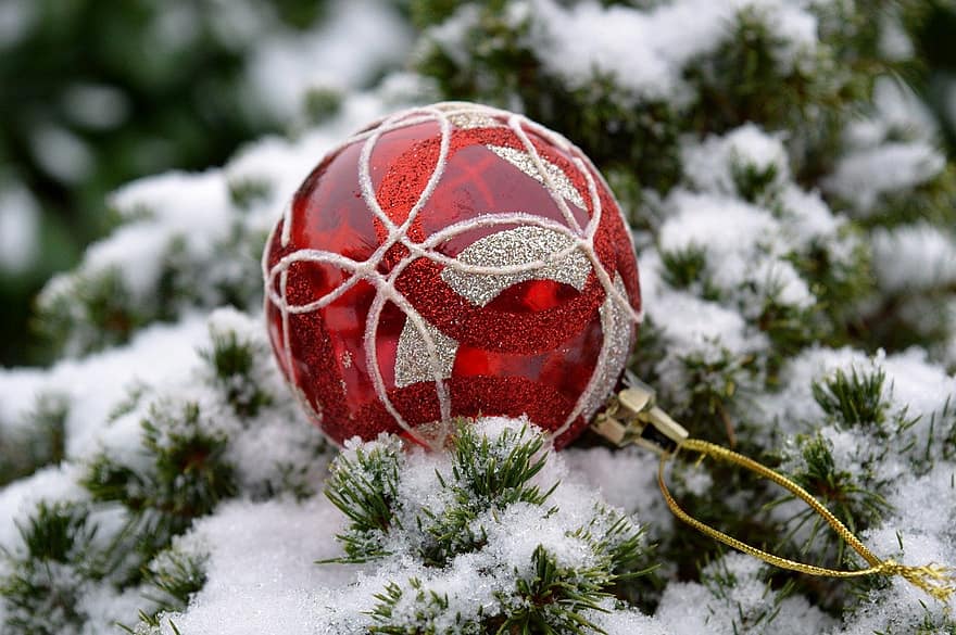 Boże Narodzenie, ornament, pora roku, dekoracja, zimowy, śnieg, jodła, Mój sezon festiwalowy, czerwona cacko, bombki, na dworze