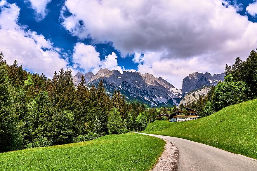 Alpes, rochas, caminho, natureza, montanhas, floresta, floresta montanhosa, Áustria, idílico, montanha, grama