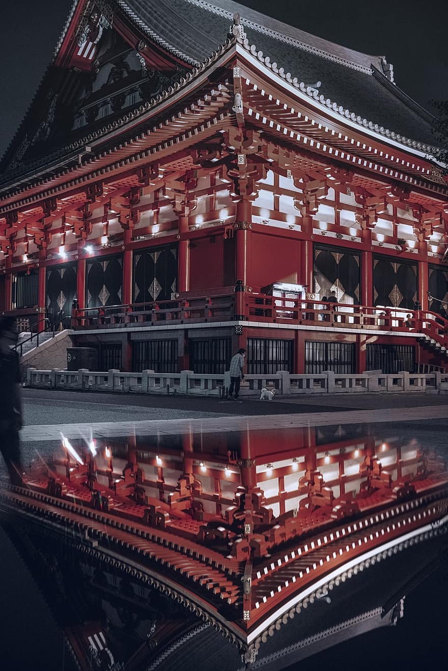 japan, tempel, natt, stad, tokyo