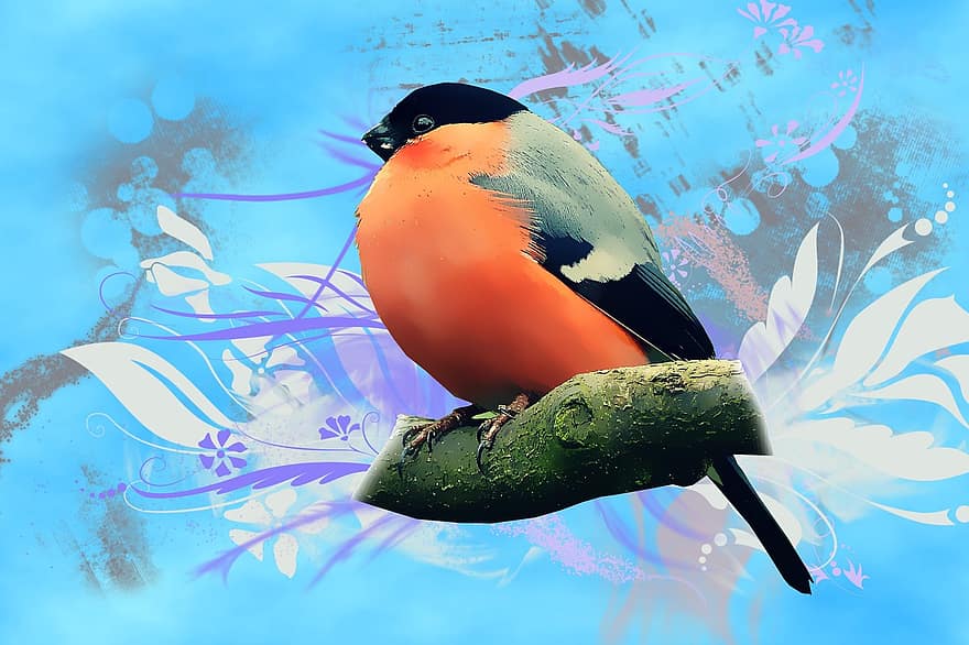 Vector, Bird, Background