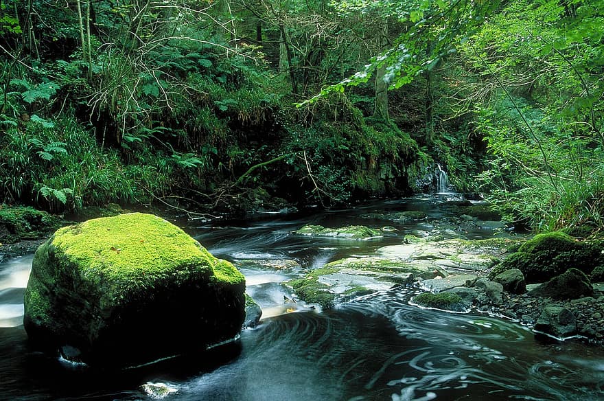 skała, strumień, mech, rzeka, antrim, dolina górska, Glens of Antrim, Natura, krajobraz