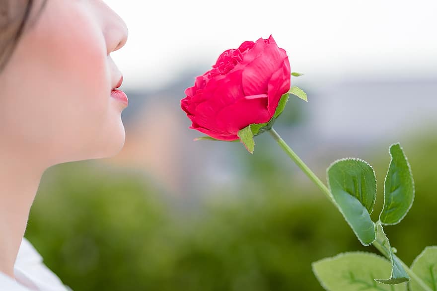 ženy, růže, portrét, venku, červená růže, červená květina, detail, květ, letní, jedna osoba, rostlina