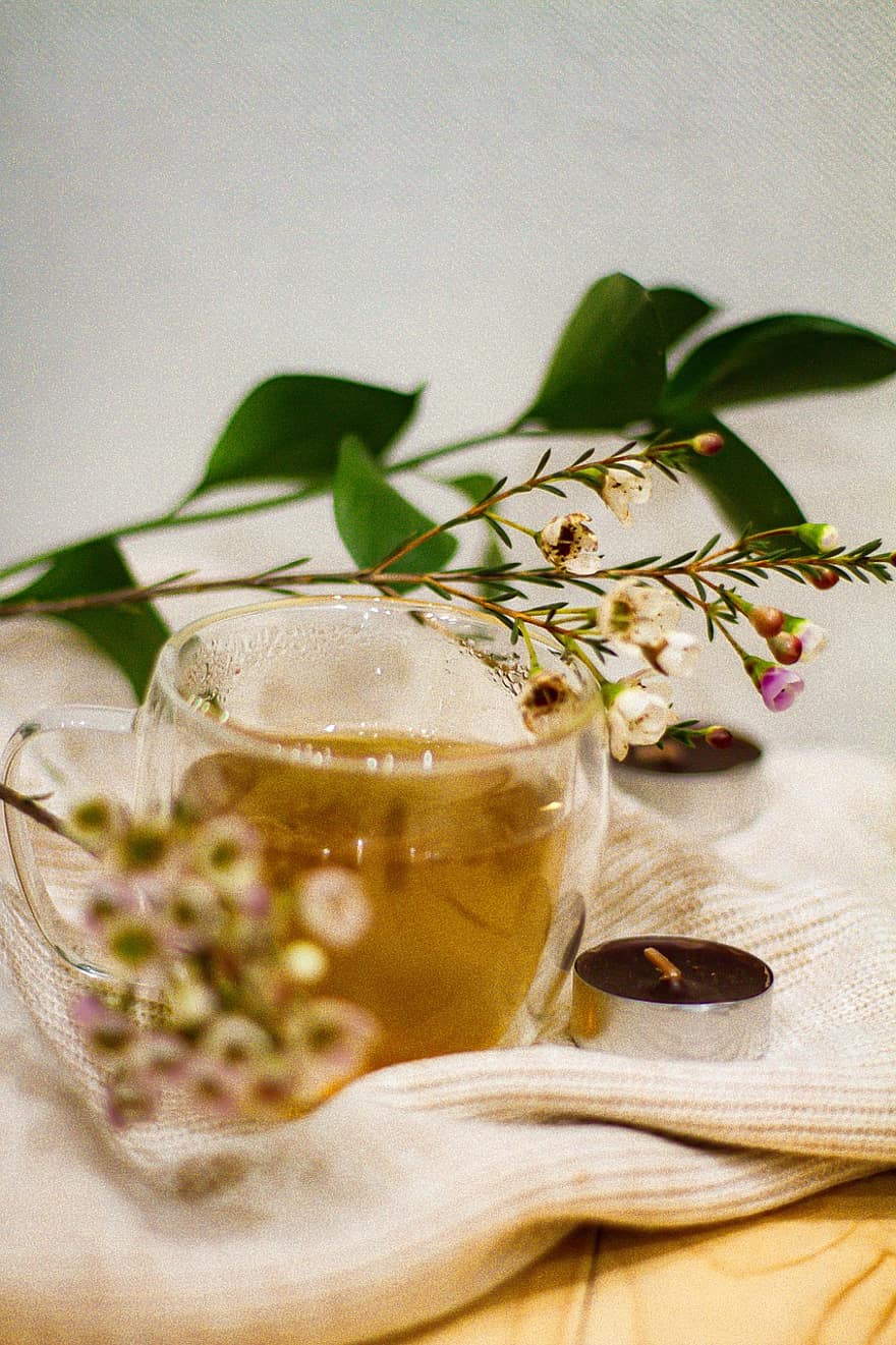 čaj, pohár, sklenka, zdravý, bylinný, svíčka, napít se, detail, svěžest, květ, list