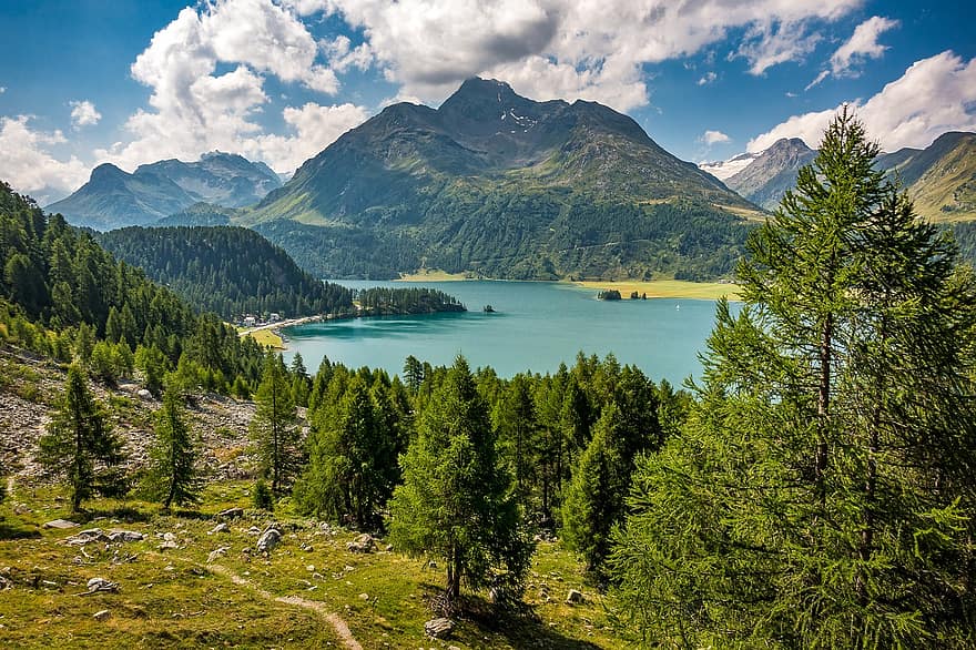 tó, hegyek, hegység, erdő, fák, vadon, vadvilág, természet, Engadin, Mezasalva, Graubünden