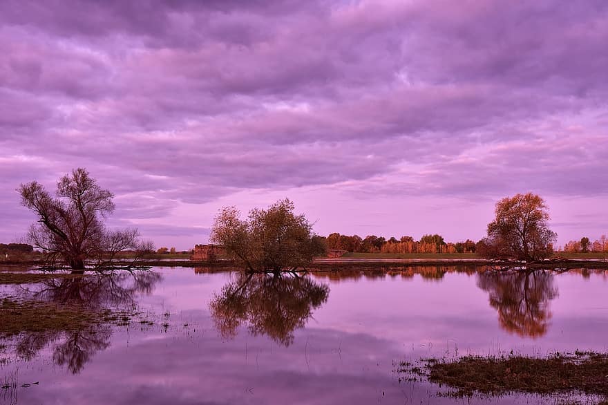 River, Flood, Sunset, Trees, Floods, Flooded, High Water, Water Level, Landscape, Afterglow, Twilight
