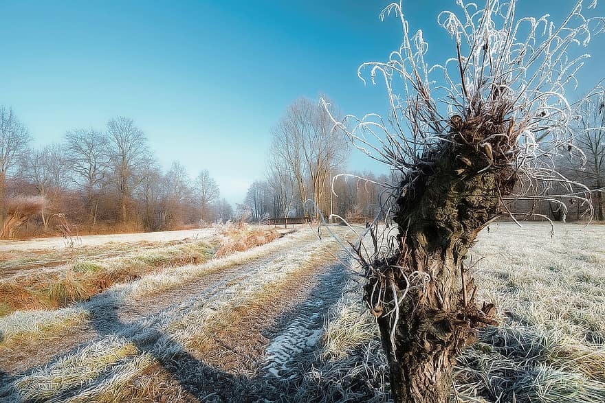 χειμερινό τοπίο, Χώρα, χειμώνας, εποχή, φύση, αγροτικός, σε εξωτερικό χώρο, πρωί, άλμη, κρύο, παγωμένος