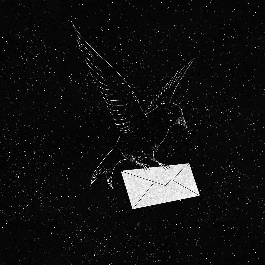 птица, звезды, крылья, письмо, конверт, вселенная, звездный, галактика, пространство, ночь, мультфильм