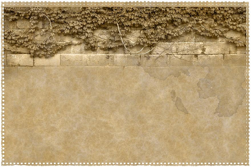 papel, pergamino, vejiga, pared, hiedra, manchas, antiguo, papelería, estructura, intitulado, textura