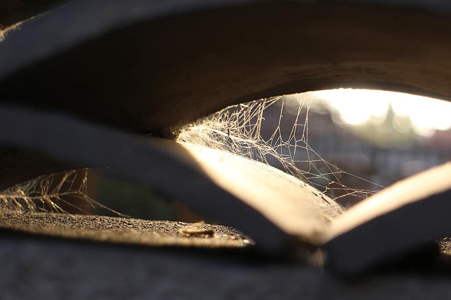 pavučina, pavoučí síť, beton