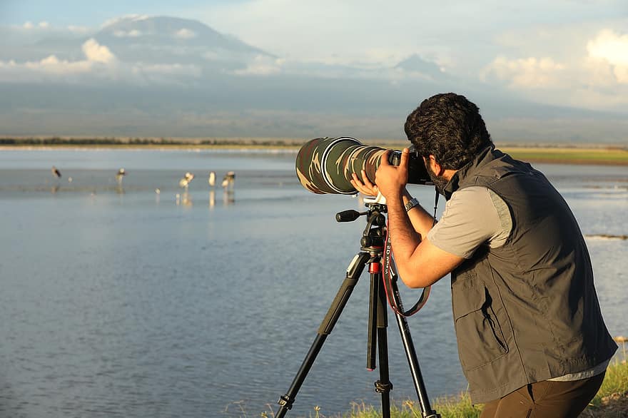 カメラ、レンズ、写真家、技術、撮影、ワーカー、野生動物