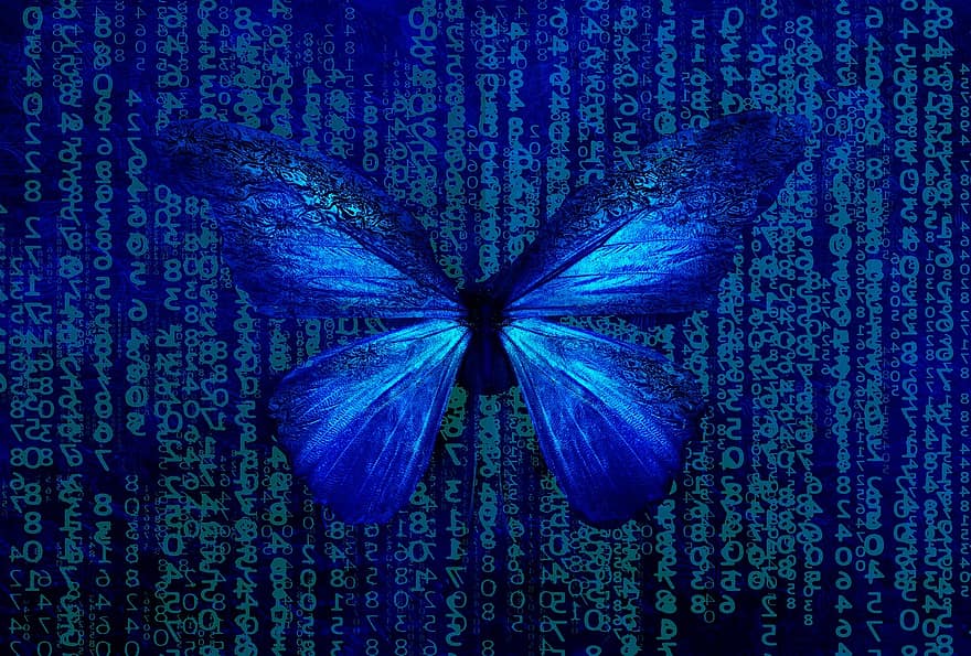 Butterfly, Vibrant, Blue, Bright, Nature, Variety, Butterflies, Matrix, Insect, Wing, Fantasy