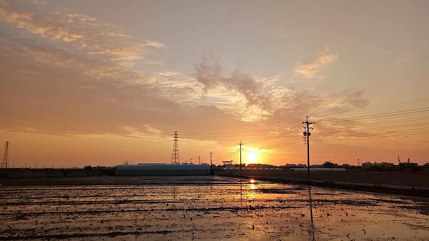 puesta de sol, campo de arroz, campo, Dom, luz del sol, oscuridad, noche, Campo inundado, granja