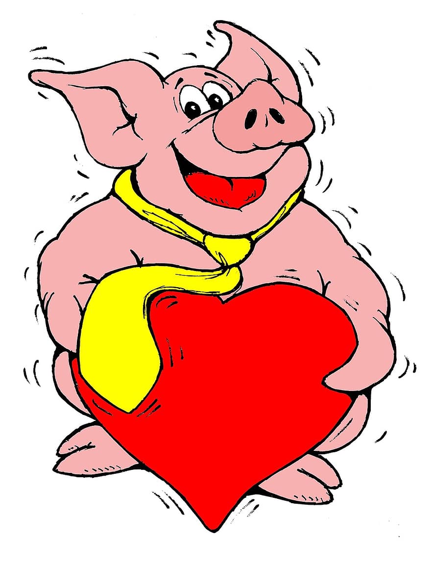 babi, jantung