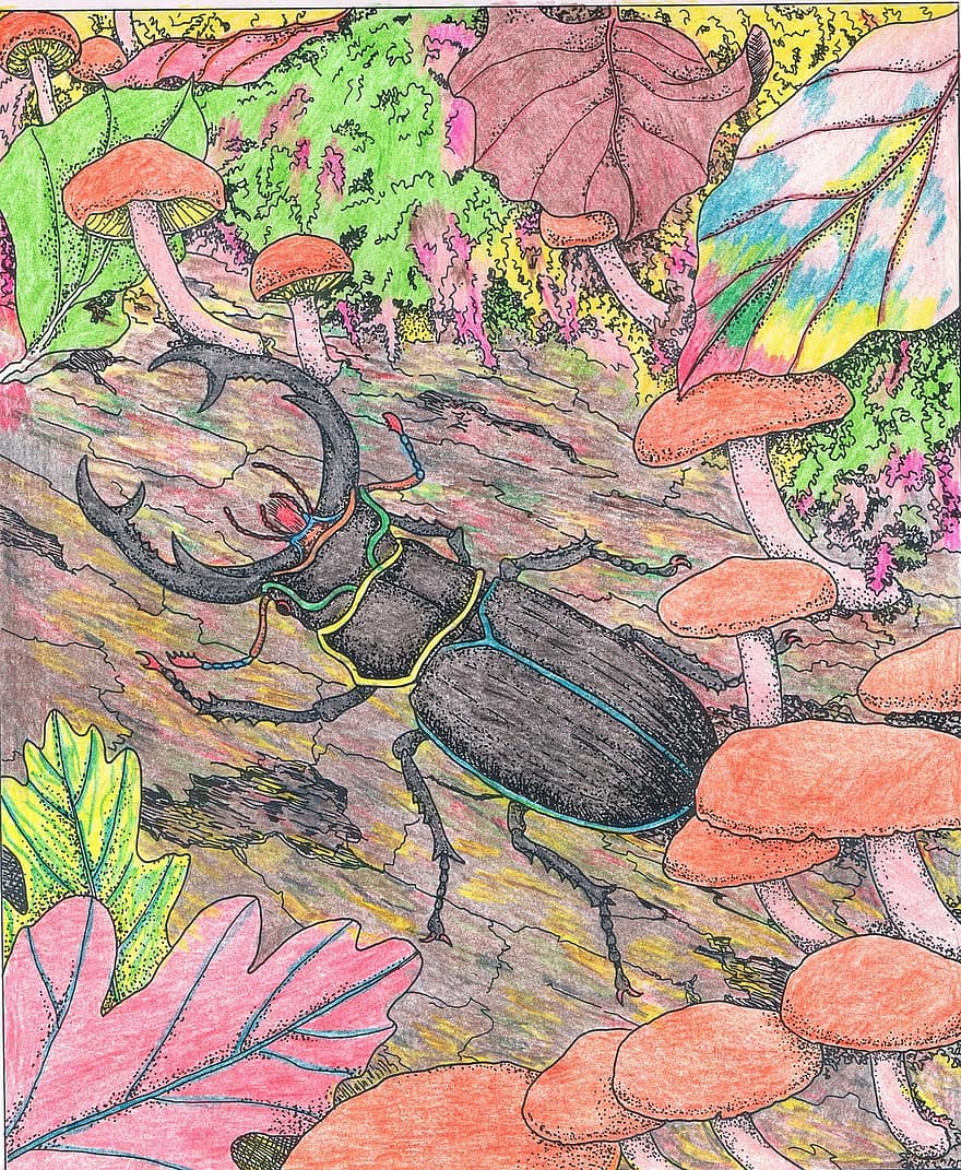 escarabajo ciervo, insecto