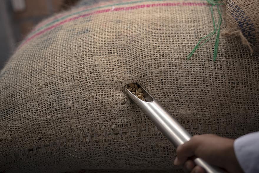 農業、コーヒー、コロンビアコーヒー、コロンビア、フイラ、ピタリト、収穫、閉じる、繊維、人間の手、縫い