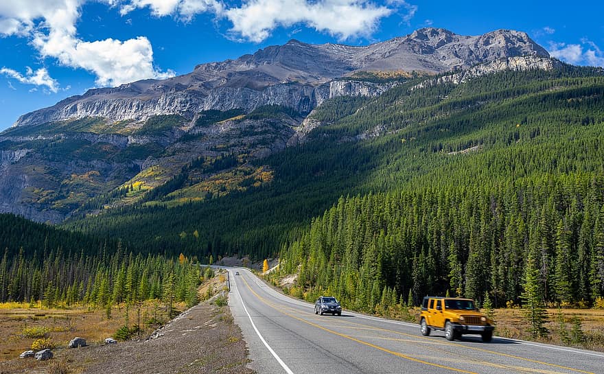 Cars, Road, Mountains, Trees, Conifers, Coniferous, Conifer Forest, Forest, Mountain Range, Drive, Journey
