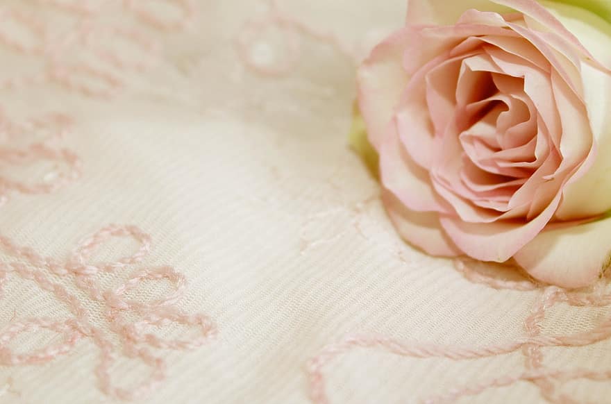 Rose, Background, Pink, Embroidery, Vintage, Nostalgic, Playful, Romantic, Rose Bloom, Guestbook, Country House