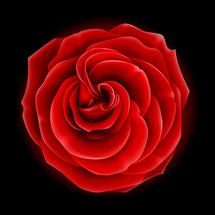 crește, roșu, floare, natural, gradina, macro, fabrică, petale, pasiune, picături de rouă, Trandafir salbatic