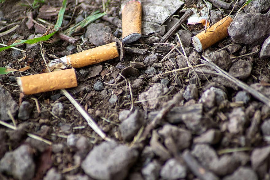 Cigarettes, Cigarette Butts, Garbage, Pollution, Plastic, Ecology, Waste, Recycling, Environmental Pollution, Environmental Protection, Responsibility