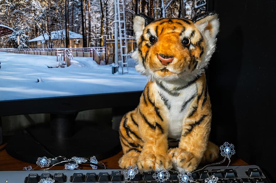 tygr, symbol, vycpané zvíře, nový rok, maskot, Symbol nového roku 2022
