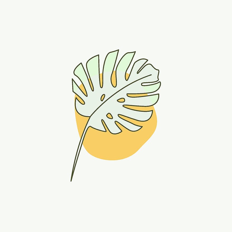 Leaves, Monstera, Drawing, Floral