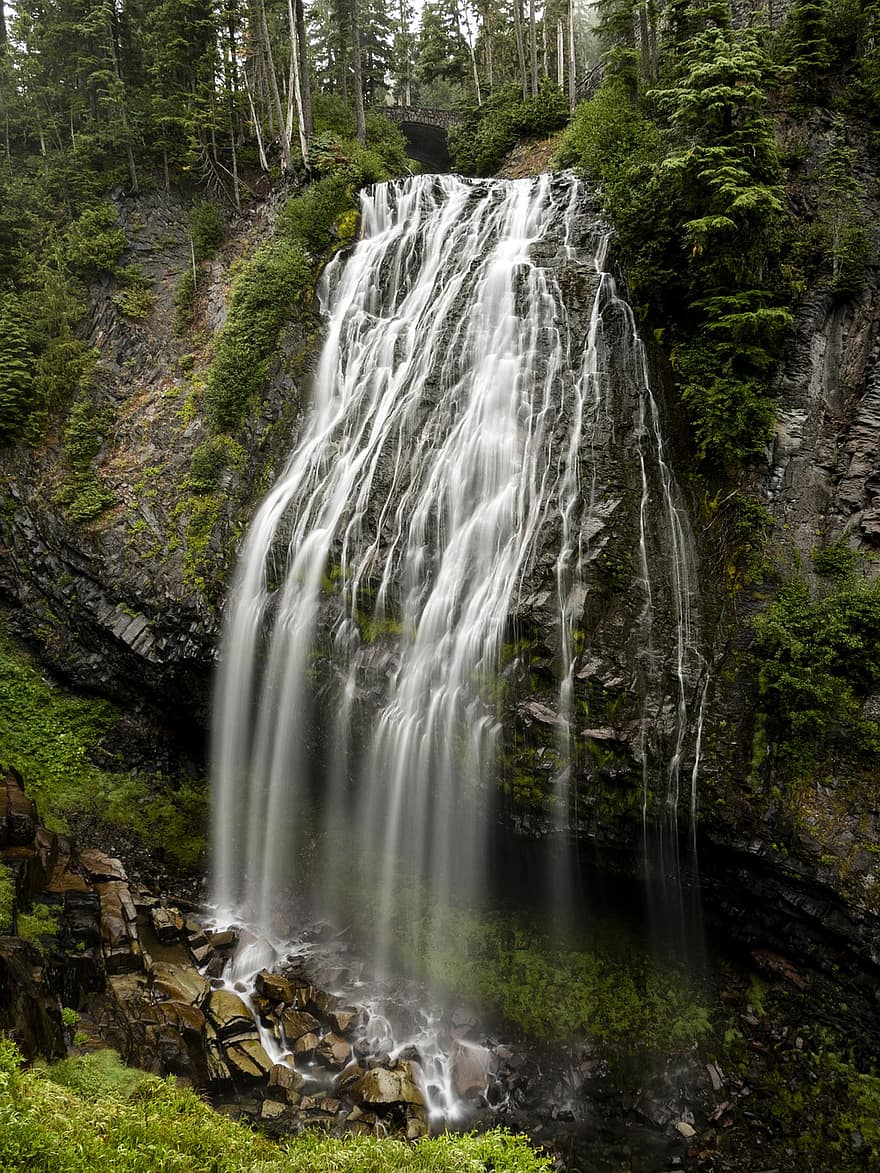 Waterfall, Forest, Nature, Water, Falls, Stream, Mountain, Mount Rainier, landscape, rock, flowing